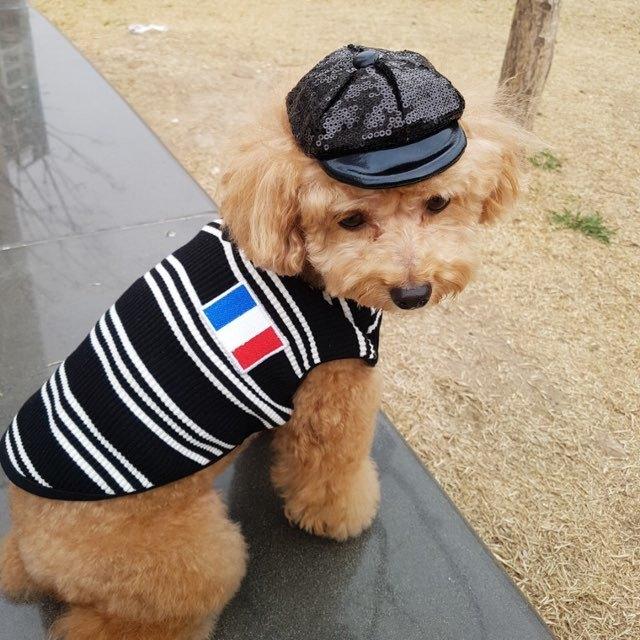 犬 服 かわいい Tシャツ 春 秋 ボーダー シンプル Vネック 袖なし