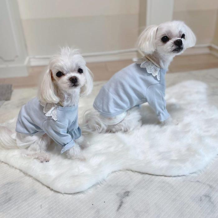 犬服 レース 襟 長袖 Tシャツ 可愛い シンプル 無地 小型犬 中型犬 春 夏 秋 冬 ペット服 doggystar ドッギースター | 
