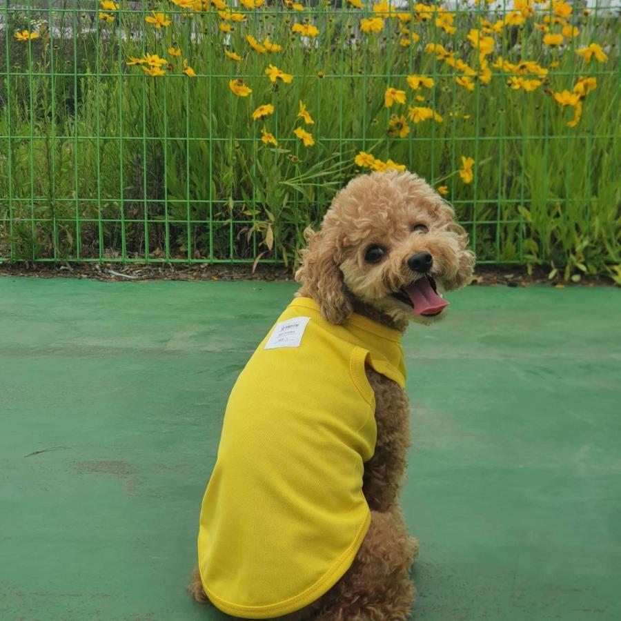 犬服 ひえひえ クール ベスト スカーフ付き 接触 冷感 Tシャツ 無地 S M L XL 2XL 3XL 4XL 5XL 6XL 小型犬 中型犬 大型犬 熱中症対策 doggystar ドッギースター |  | 14