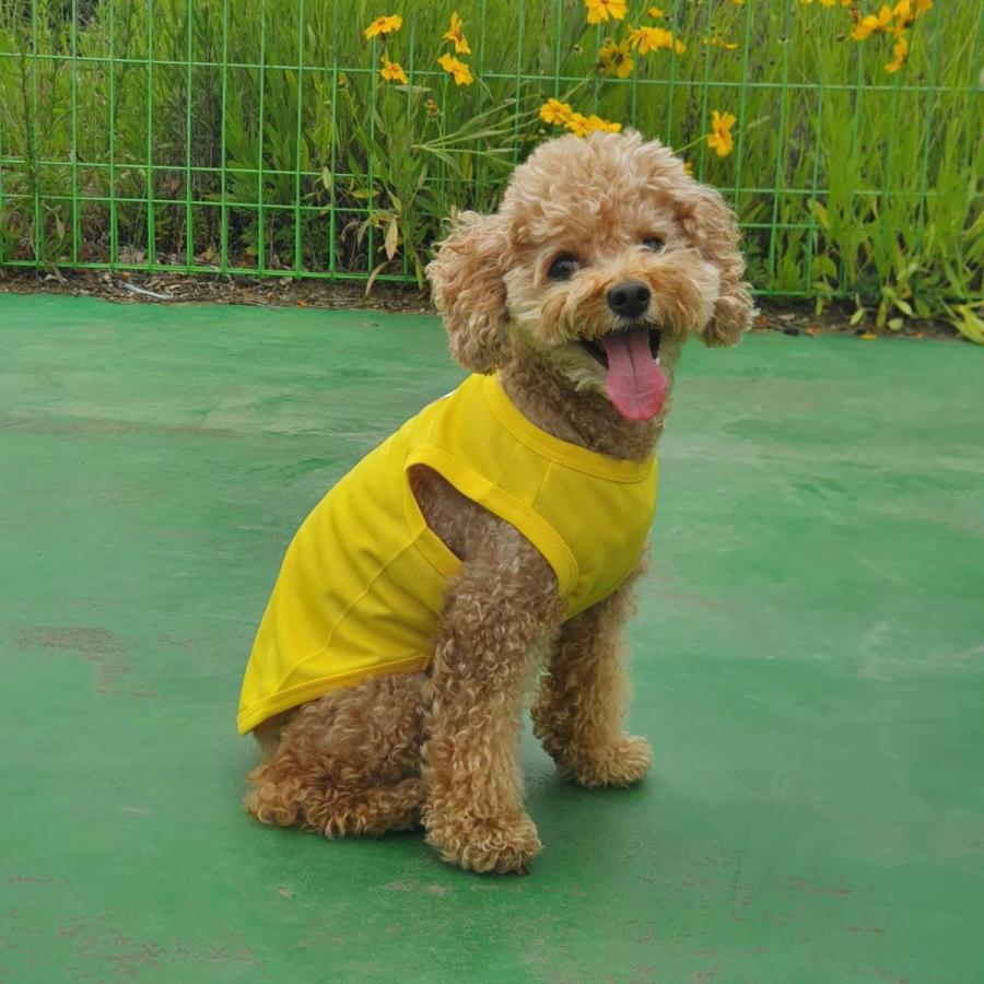 犬服 ひえひえ クール ベスト スカーフ付き 接触 冷感 Tシャツ 無地 S M L XL 2XL 3XL 4XL 5XL 6XL 小型犬 中型犬 大型犬 熱中症対策 doggystar ドッギースター |  | 15