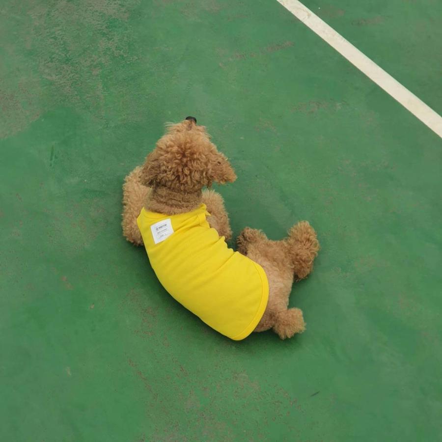 犬服 ひえひえ クール ベスト スカーフ付き 接触 冷感 Tシャツ 無地 S M L XL 2XL 3XL 4XL 5XL 6XL 小型犬 中型犬 大型犬 熱中症対策 doggystar ドッギースター |  | 16