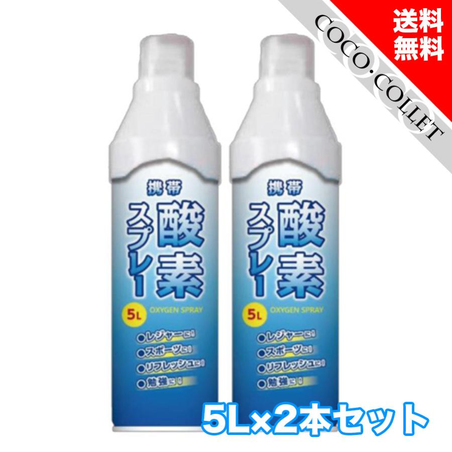 酸素缶 日本製 メーカー直送 2本セット 品質保証 5L 携帯酸素スプレー アウトドア 家庭用 酸素ボンベ