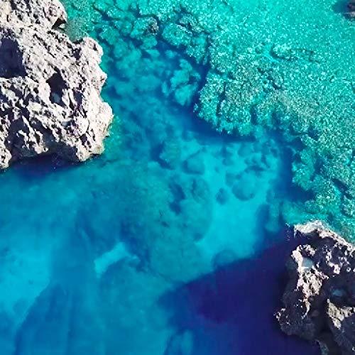 ゴーヤ濃縮海水スキンケアローション　6本 ゴーヤ濃縮海水スキンケアローション 6本 ALL ITEM | アットモア