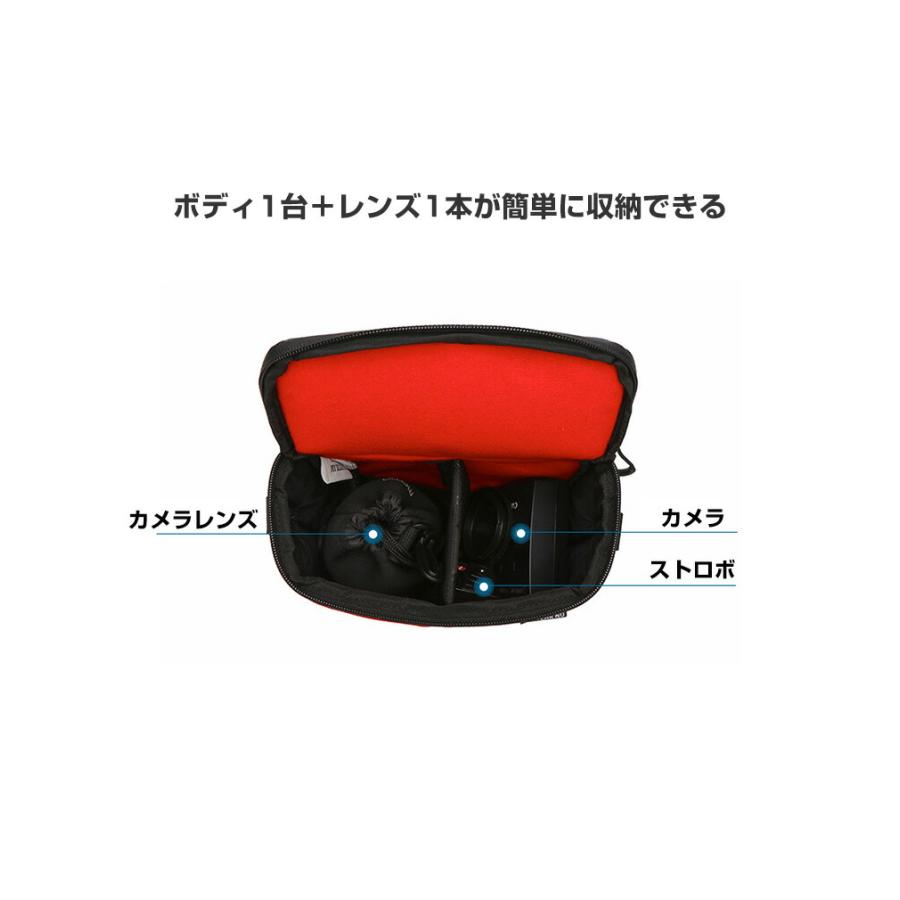 Panasonic LUMIX DC-TX2D DC-LX100M2 DC-TX2 DC-TZ90 DMC-LX9 Panasonic LUMIX DC-TX2D DC-LX100M2 DC-TX2 DC-TZ90 DMC-LX9