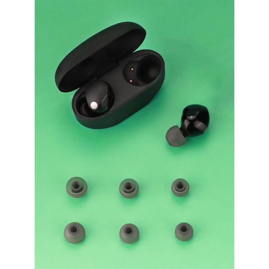 SONY（ソニー） SONY WF-1000XM6 イヤホンキャップ イヤーピース