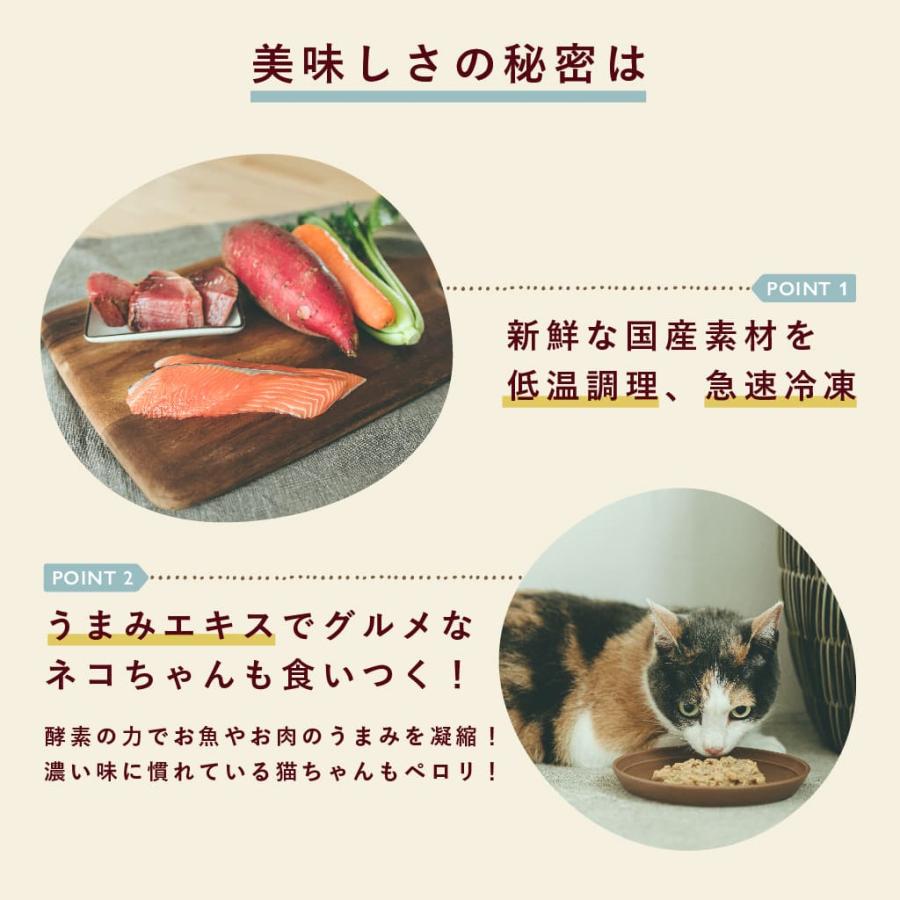 【お試し】ミャオグルメ(全10種) 手作りキャットフード 国産 無添加 総合栄養食 ウェットフード ご飯 シニア猫｜coco-gourmet｜06