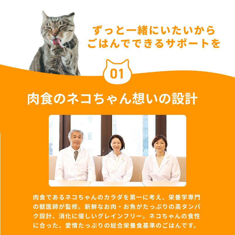 ミャオグルメ(35g×16袋) 冷凍 手作りキャットフード 国内製造 無添加