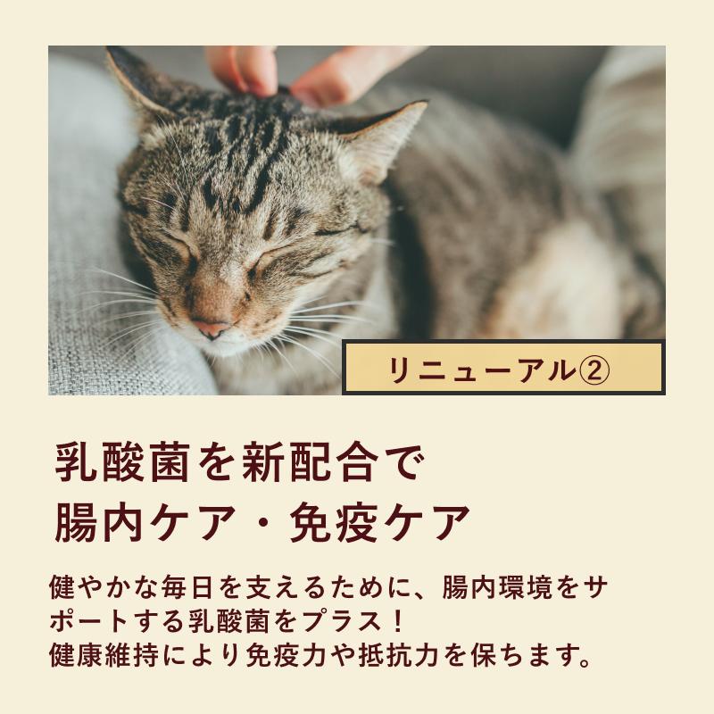 ミャオグルメ・レトルト(35g×16袋) 手作りキャットフード 国内製造 無