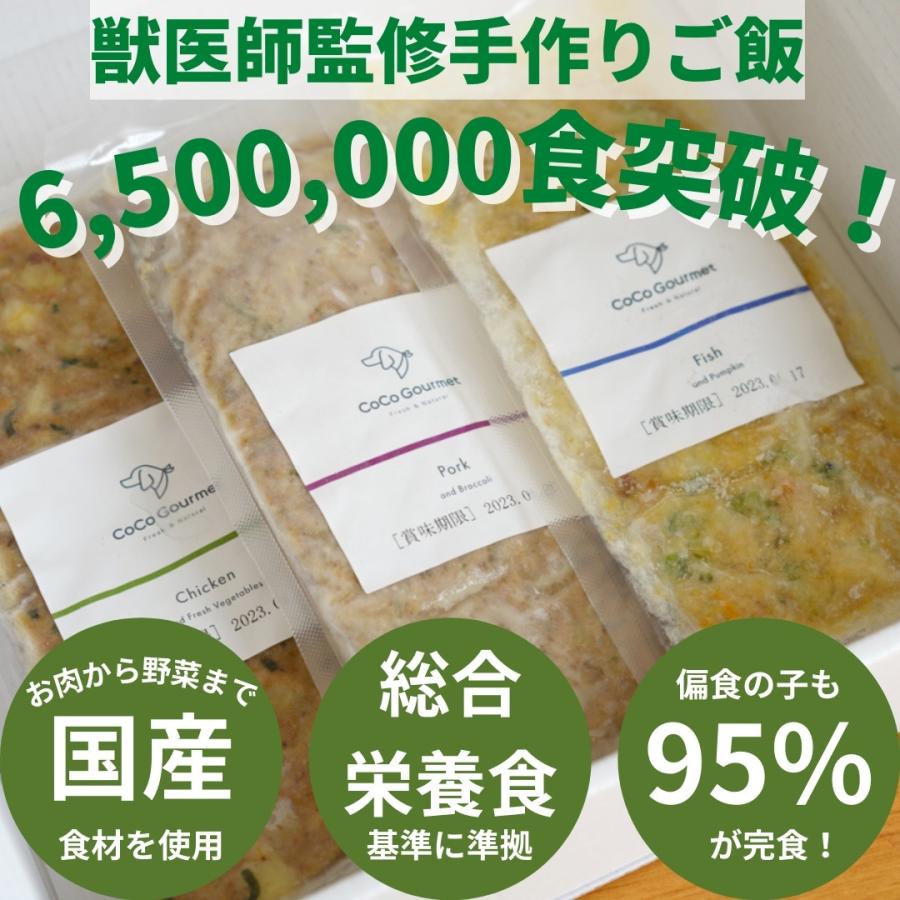 ココグルメ 手作りドッグフード チキン ポーク 1 6kg 全犬種 全年齢 対応 グレインフリー 無添加 ウェットフード 21 ココグルメ公式ストア 通販 Yahoo ショッピング