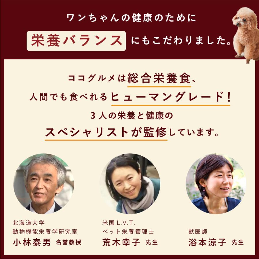 CoCo Gourmet（ココグルメ） ココグルメ(100g×16個) 手作り