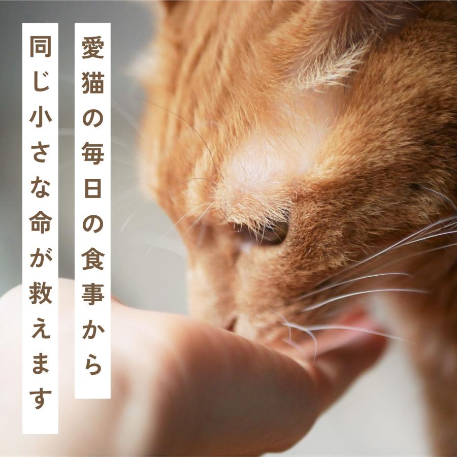 にゃっち 32本入 (10g×4本入×8袋) 国産 無添加 おやつ ペースト