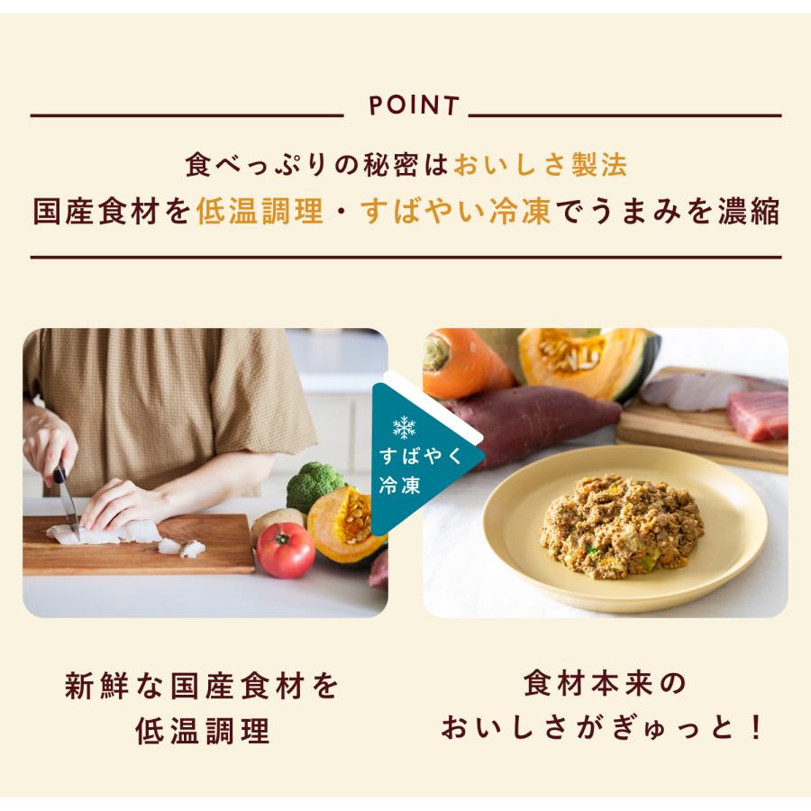 CoCo Gourmet ココグルメ(100g×8個) 手作りドッグフード 国産 無 CoCo Gourmet ココグルメ(100g×8個) 手作りドッグフード 国産 無
