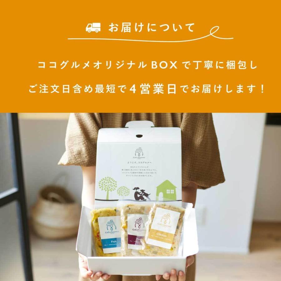 ココグルメ(チキン 100g×3) 手作り ドッグフード 国産 無添加 シニア犬 ココグルメ(チキン 100g×3) 手作り ドッグフード 国産 無添加 シニア犬