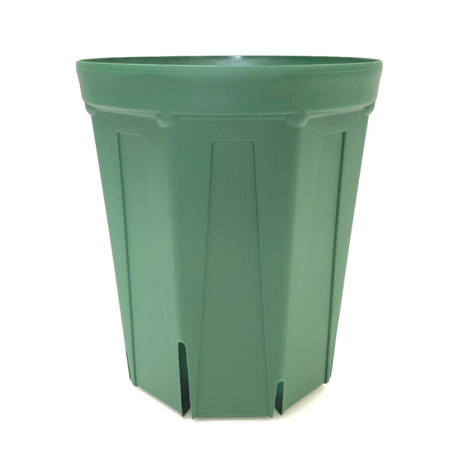 兼弥産業　ロングスリット鉢　モスグリーン　CSM-240L グリーン 60個入り 兼弥産業ロングスリット鉢モスグリーンCSM-240L グリーン 60個入り