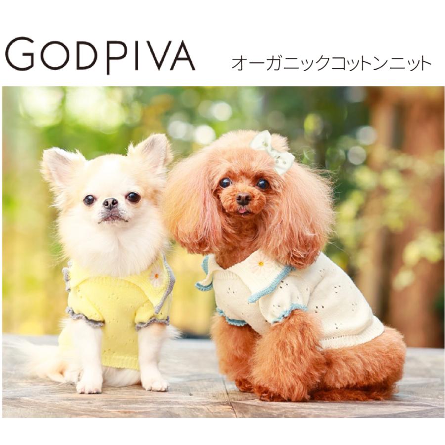 SALE50%OFF GODPIVA ゴッドピバ オーガニックコットンニット ニット 犬服 ドッグウェア 可愛い 小型犬 中型犬 | 