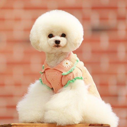 SALE50%OFF GODPIVA ゴッドピバ オーガニックコットンニット ニット 犬服 ドッグウェア 可愛い 小型犬 中型犬 |  | 04