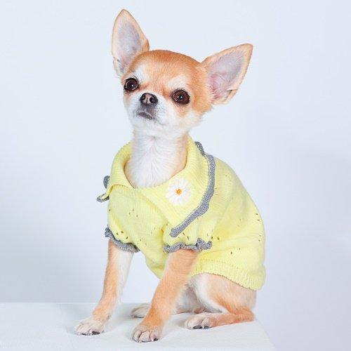 SALE50%OFF GODPIVA ゴッドピバ オーガニックコットンニット ニット 犬服 ドッグウェア 可愛い 小型犬 中型犬 |  | 09
