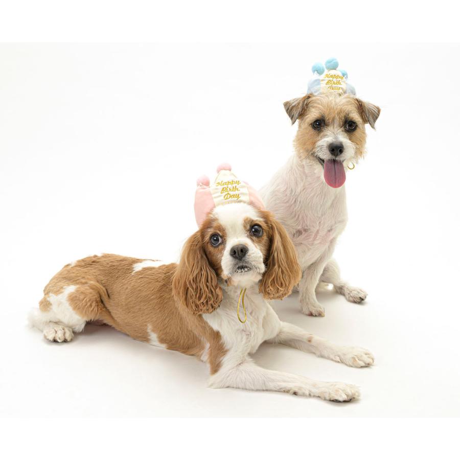 LIFELIKE ライフライク 当店限定販売 2022 犬服 犬 Sサイズ プレミアムバースデークラウン 小型犬 最高の品質 誕生日 猫