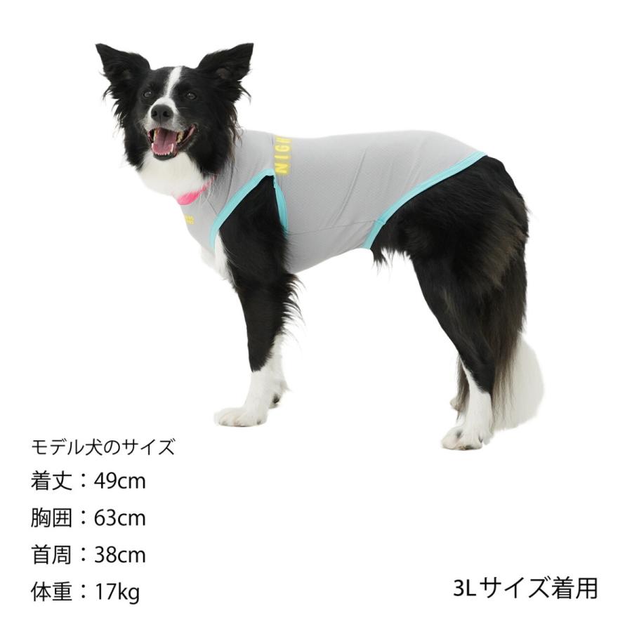 MANDARINE BROTHERS（マンダリンブラザーズ） SALE50%OFF MANDARINE