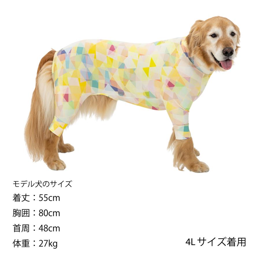 MANDARINE BROTHERS（マンダリンブラザーズ） スキンタイトスーツ