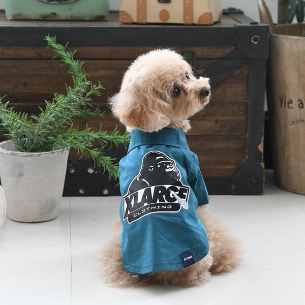 XLARGE（エクストラ ラージ） SALE50%OFF XLARGE 2022 春夏 オージー