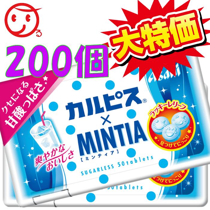 安心の定価販売 ミンティア カルピス ミンティア 0個入 一部地域 アサヒグループ食品 高級感 Www Fiscaliaguerrero Gob Mx