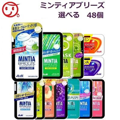 クリアランス買い アサヒグループ食品 ミンティア ブリーズ エクスケア 選べる合計48個 参考価格 Www Superavila Com