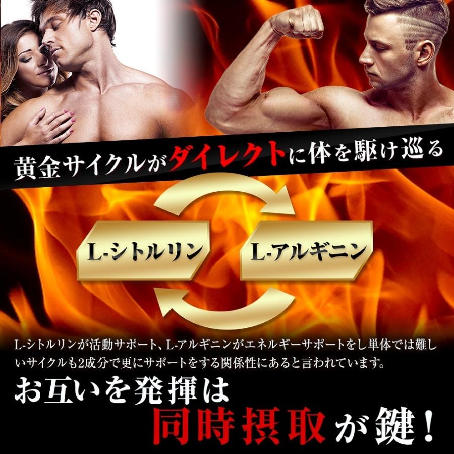 シトルリン 36000mg アルギニン 亜鉛 サプリ NICEBULQ ナイス シトルリン 36000mg アルギニン 亜鉛 サプリ NICEBULQ ナイス