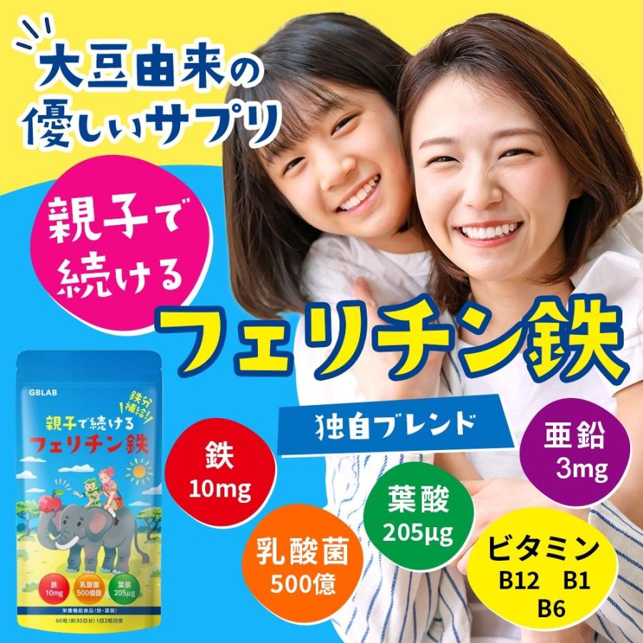 フェリチン鉄 10mg 乳酸菌 500億個 葉酸 205μg ビタミン 亜鉛 貯蔵鉄