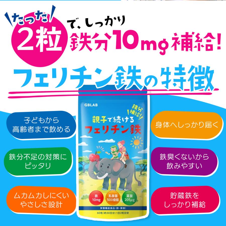 フェリチン鉄 10mg 乳酸菌 500億個 葉酸 205μg ビタミン 亜鉛 貯蔵鉄