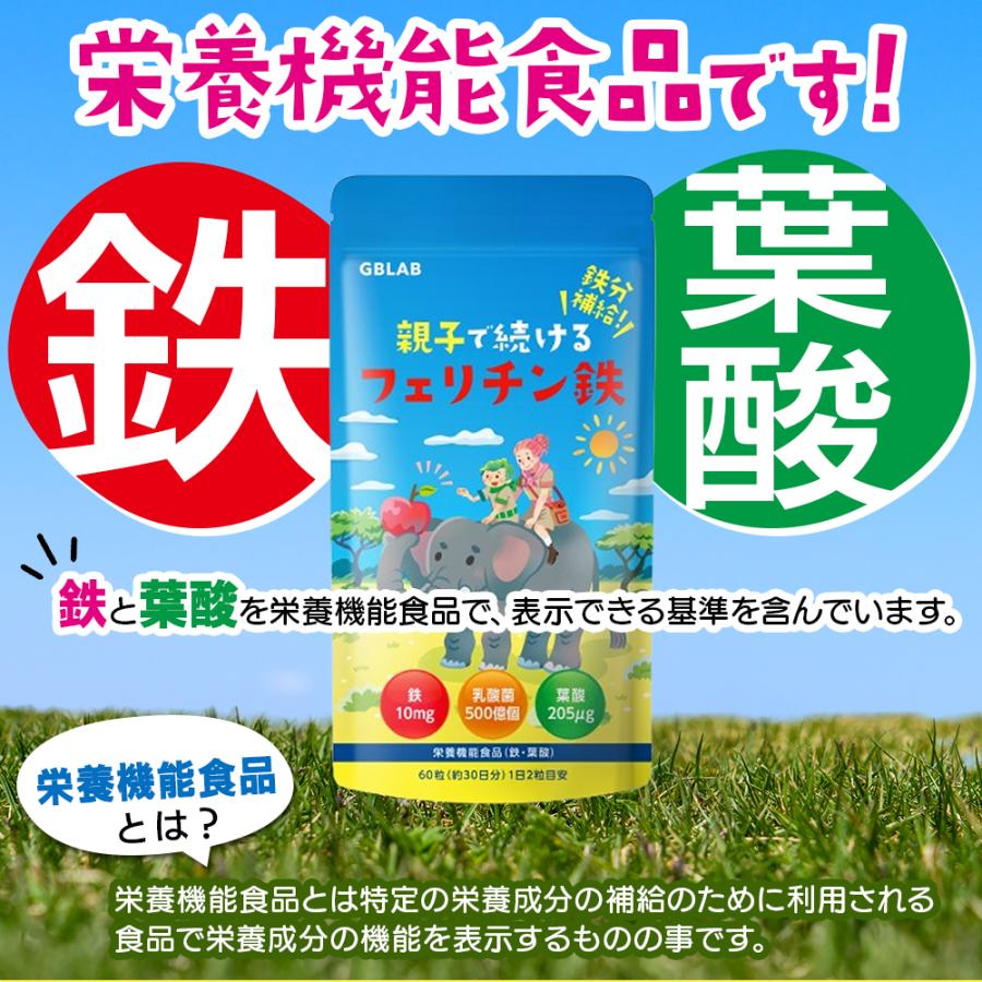 フェリチン鉄 10mg 乳酸菌 500億個 葉酸 205μg ビタミン 亜鉛 貯蔵鉄