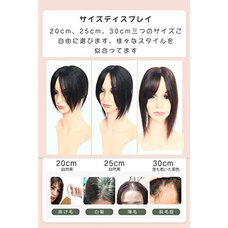 HIYE 人毛100% 部分ウィッグ 手植え リアル 分け目 前髪 ヘアーピース 横8cm縦12cm (バッツん栗色， 30cm) 人毛100% 部分ウィッグ 手植え リアル 分け目 前髪 ヘアーピース 横8cm縦12cm バッツん栗色， 30cm