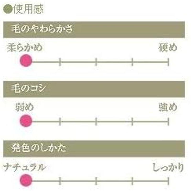 CHIKUHODO 熊野筆(化粧筆) 竹宝堂 パウダーブラシ 灰リス G-9 メイクブラシ 熊野筆 化粧筆 竹宝堂 パウダーブラシ 灰リス メイクブラシ