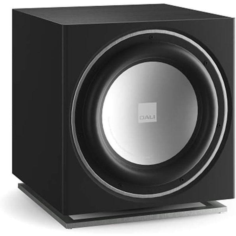 現品発送 DALI SUB-E12N/SB（サテンブラック） サブウーファー ダリ SUBE12N 【1660992042】(58246円)