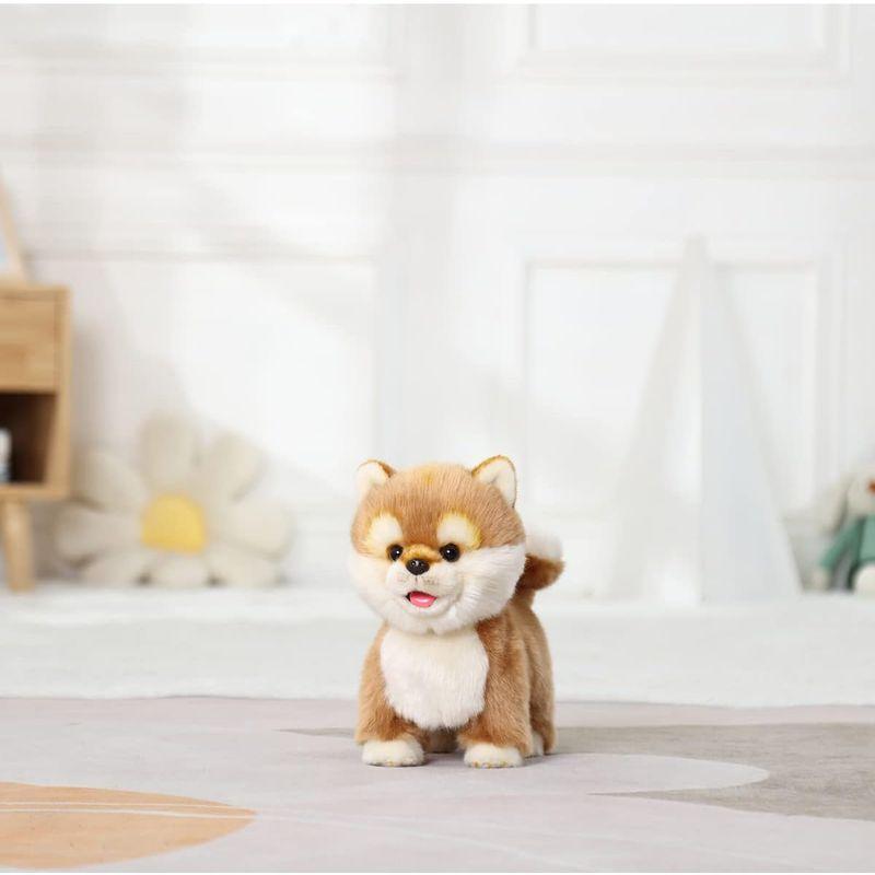 ハッピー秋田犬 ぬいぐるみくじ 特賞&4等 希少ハッピー秋田犬