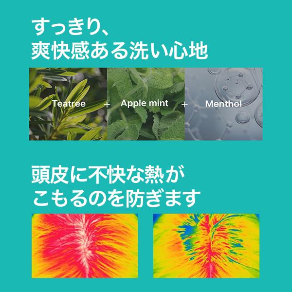 ジャミンギョン LZ シャンプー 50g / 【 単品 】 ボリュームケア ジャミンギョン LZ シャンプー 50g / 【 単品 】 ボリュームケア
