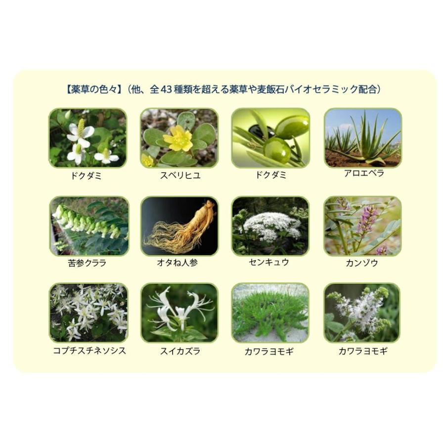 【韓国コスメ】シャロン ナチュラル石鹸100g【顔・体用】石けん 洗顔 キメ荒れ せっけん | ブランド登録なし | 01