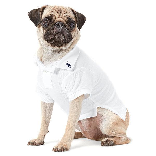 POLO RALPH LAUREN（ポロ・ラルフローレン） ポロ ラルフローレン