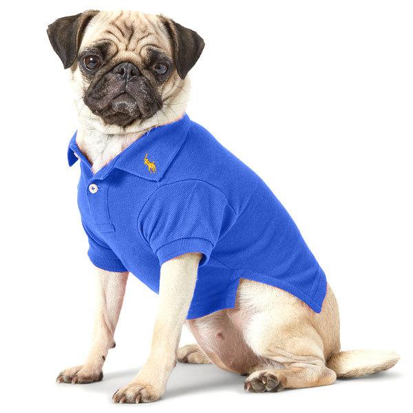 POLO RALPH LAUREN ポロラルフローレン 犬用 服ドッグポロシャツ 快適☆耐久◎【ラルフローレン】ポロベア ドッグ用 ポロシャツ