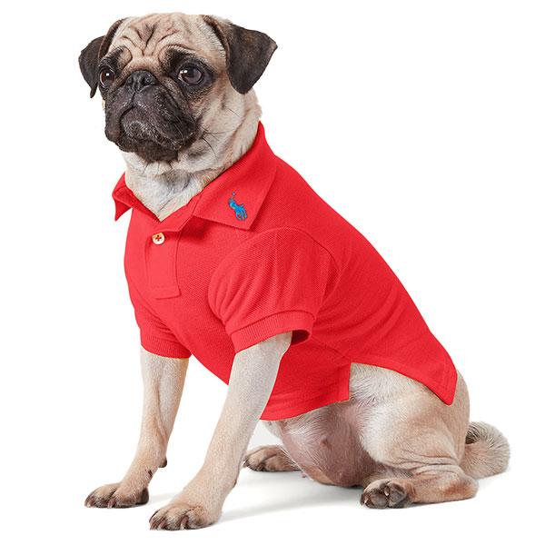 新品未使用 ポロ ラルフローレン ドッグトイ ボーントイ POLO 楽天市場】ポロ ラルフローレン ラルフ Polo Ralph Lauren