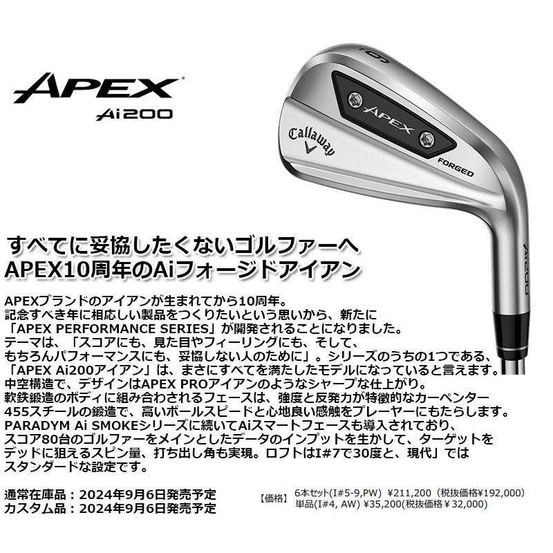 APEX（キャロウェイゴルフ） Callaway APEX Ai200 アイアン 日本仕様 6
