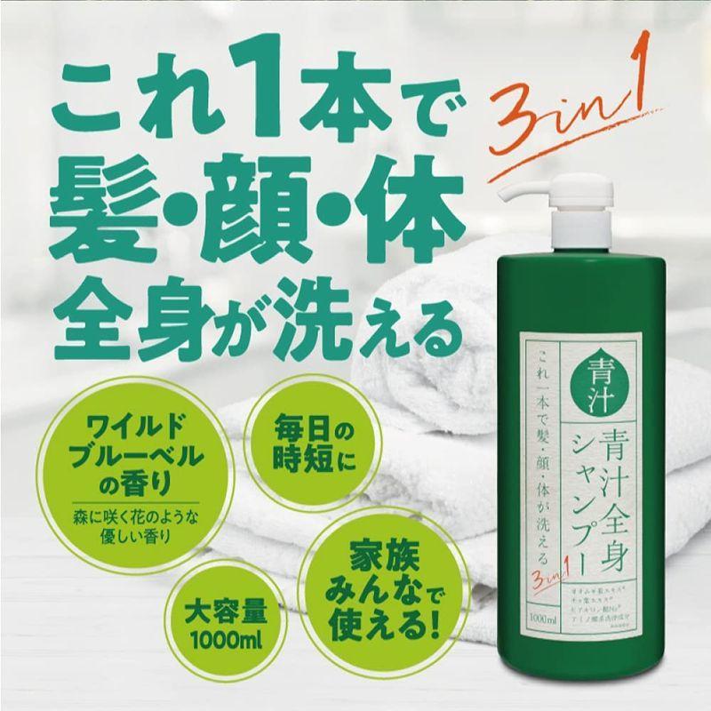 3in1青汁全身シャンプーI 1L IT-2108-01 1本 : Cocoa - 通販 - Yahoo