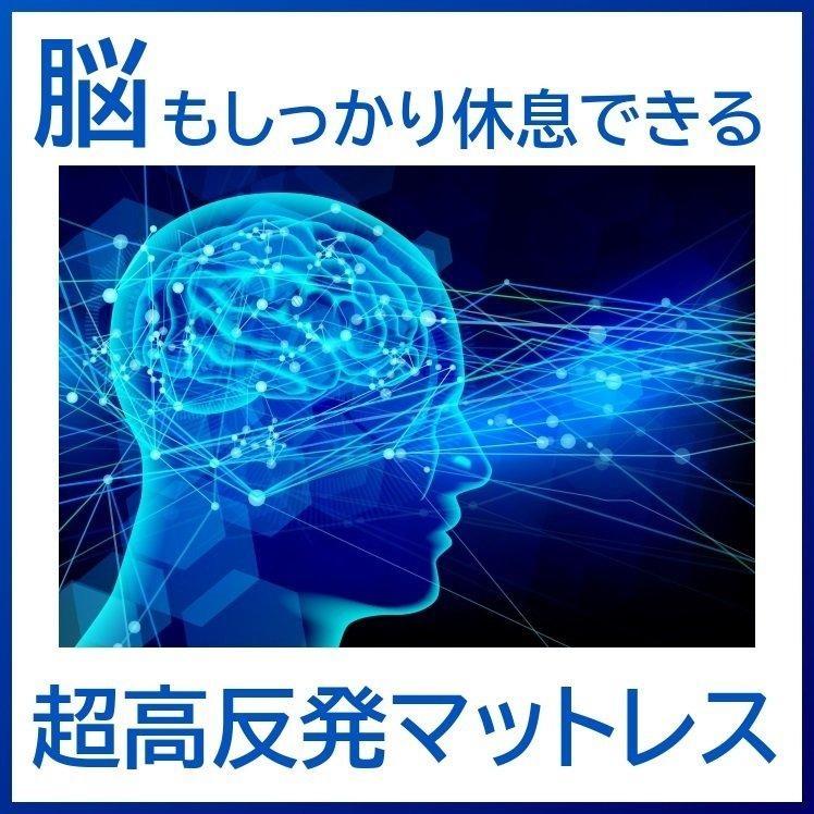 プリマレックス　レイヤープレミアム　シングル/SS4681高反発マットレス  敷きふとん アース製薬 防ダニ不織布 【専門店】 ダニノット日本製 メーカー直送