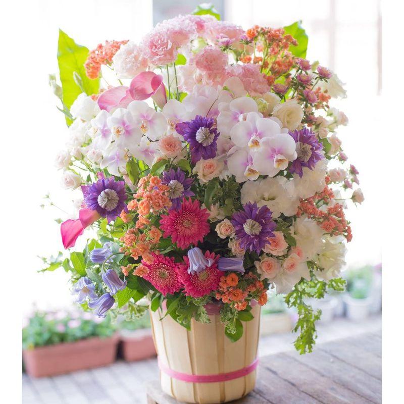 アレンジメントフラワー 生花 ギフト 3Lサイズ イメージ(可愛い)大臣賞受賞デザイナー おまかせアレンジメント イメージ 生花 ギフト 3Lサイズ 可愛い 大臣賞受賞デザイナー おまかせアレンジメント サイズ