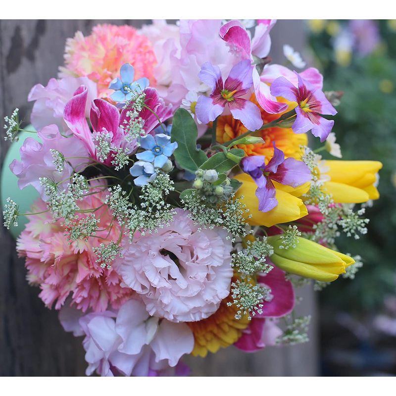 アレンジメントフラワー 生花 ギフト 3Lサイズ イメージ(可愛い)大臣賞受賞デザイナー おまかせアレンジメント イメージ 生花 ギフト 3Lサイズ 可愛い 大臣賞受賞デザイナー おまかせアレンジメント サイズ