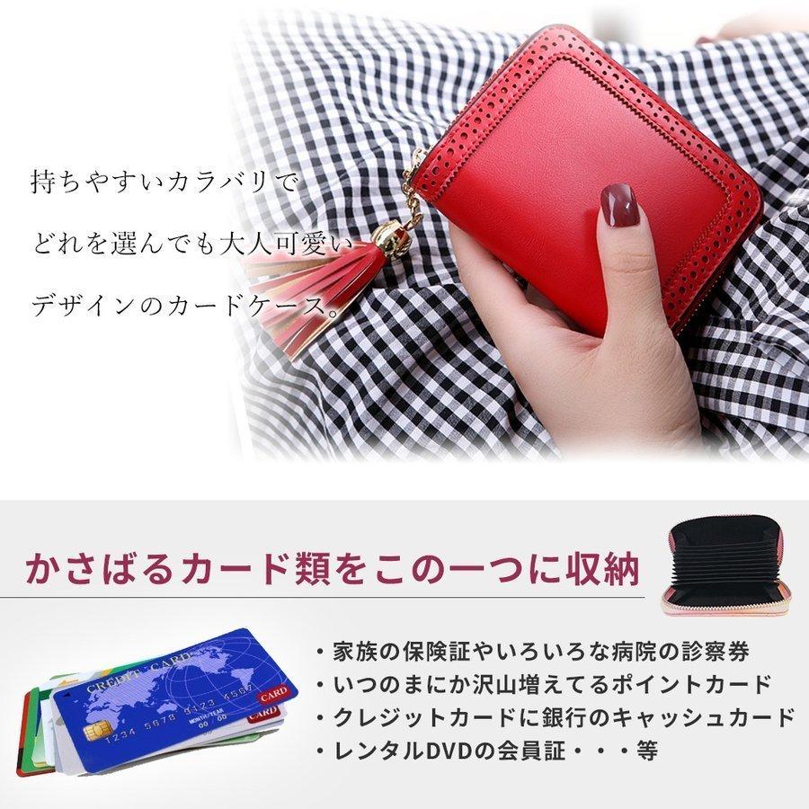 国内即発送 カードケース レディース 大容量 かわいい おしゃれ ブラック シンプル 無地 激安 コンパクト 22ポケット 最大44枚 収納 マイナンバーカード 免許証入れ Syga Es