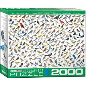 Eurographics 2000ピース ジグソーパズル ユーログラフィックス 正規品 The World of Birds 8220-0821｜cocoatta