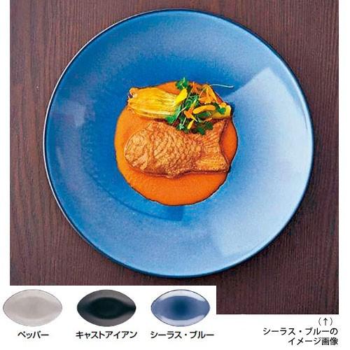 レヴォル エキノクス クープ本塁 24珊 シーラス・ブルー 649506 食器、グラス、カトラリー-皿