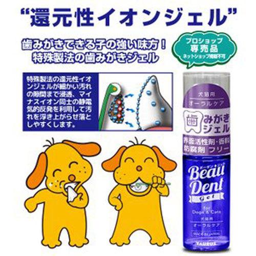【お得10本セット】トーラス　ボーダン ( TAURUS Beaudent ) ボーダン♢歯ブラシ