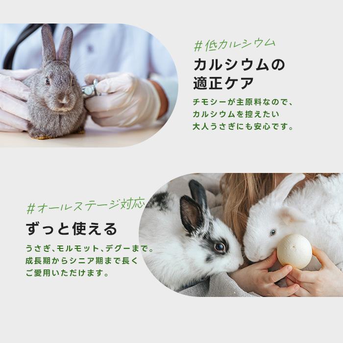 うさぎ 牧草 チモシー ハイペット チモシーのきわみ まとめ買い 400g 3